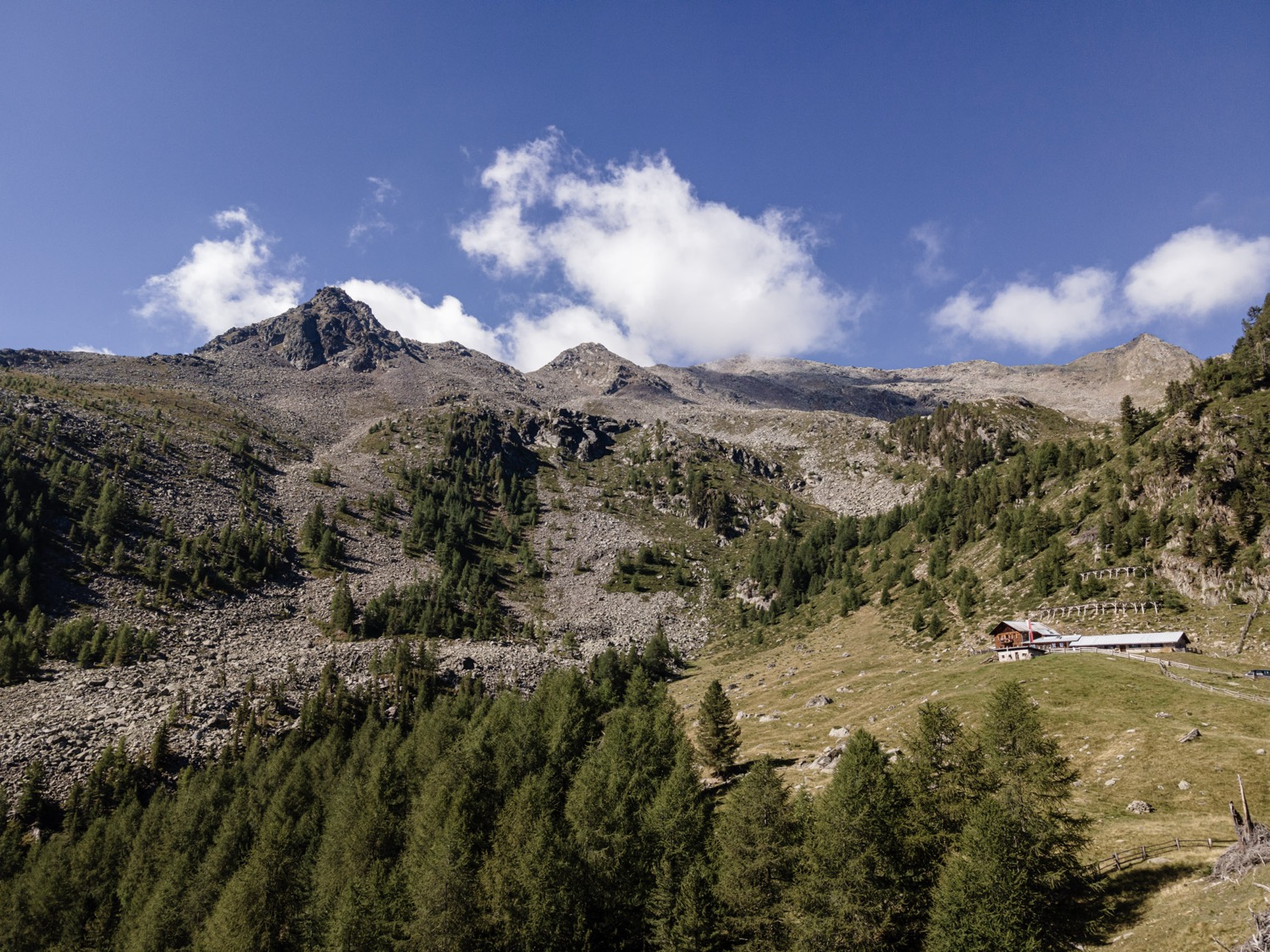 Mountain landscape with grass and plants